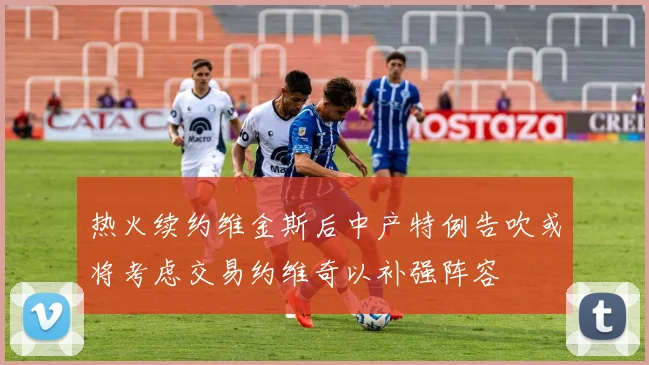 热火续约维金斯后中产特例告吹或将考虑交易约维奇以补强阵容